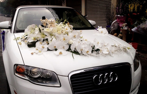 Trang trí xe hoa cưới bằng hoa lan hồ điệp