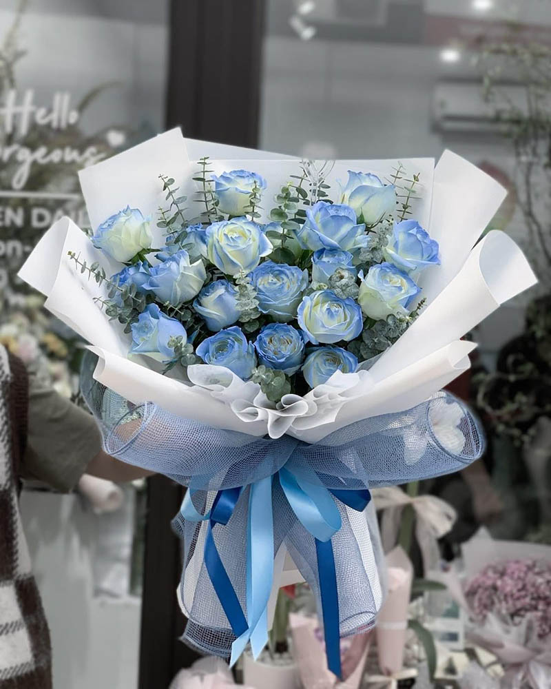 Bó hoa hồng ecuador màu xanh đẹp