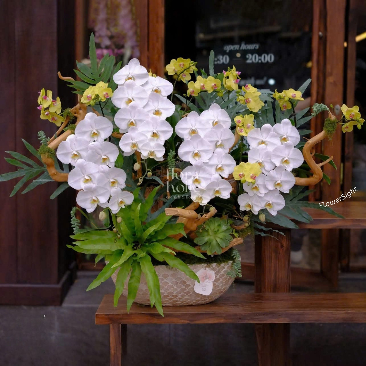 Chậu Lan hồ điệp tặng sếp