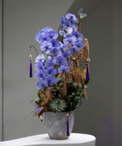 Chậu Lan Hồ Điệp Khai Trương Phượng Liên