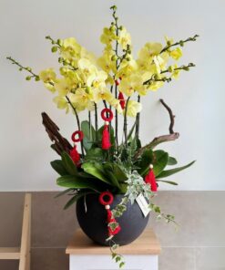 Hoa lan hồ điệp mừng thọ