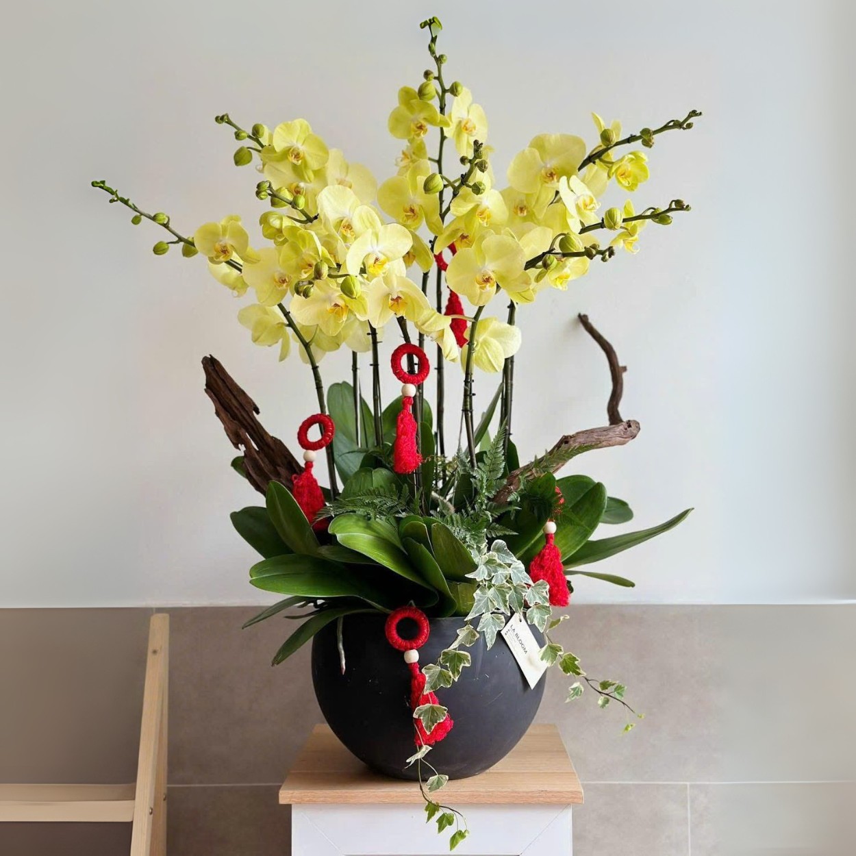 Hoa lan hồ điệp mừng thọ