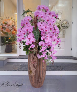 Chậu Lan Hồ Điệp Tân Gia Mãi Mãi