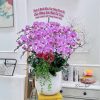 Chậu Lan Hồ Điệp Tím 38 độ Flower