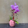 Chậu Lan Hồ Điệp Tím Luxury vase