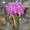 Chậu Lan Hồ Điệp Tím Niềm vui