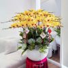 Chậu Lan Hồ Điệp Vàng Mãn Ngọc Tình