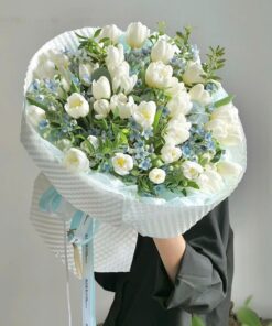 Bó Hoa Tulip Hermorsa