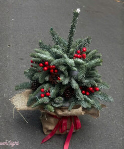 Cây Thông Noel Mini Avangard