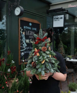 Cây Thông Noel Mini Bones