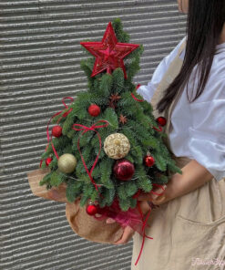 Cây Thông Noel Mini Charlie