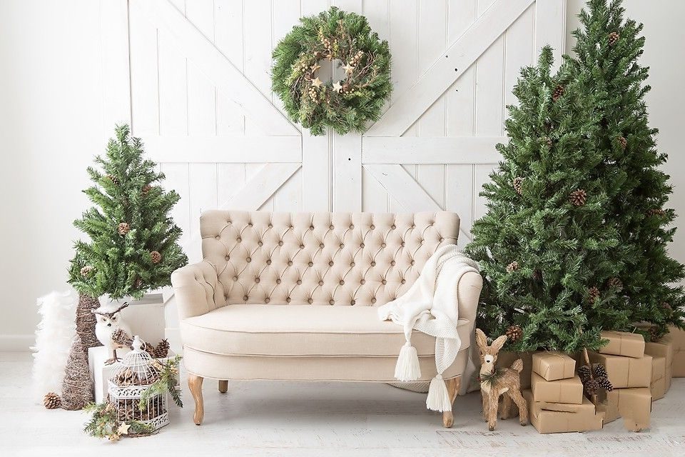 Cây thông noel Giáng sinh