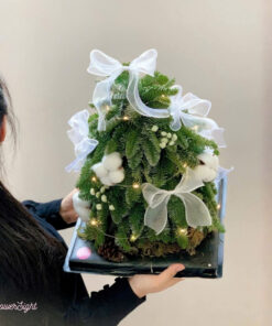 Cây Thông Noel Tươi Angel