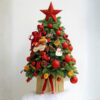 Cây Thông Noel Tươi Counting Stars