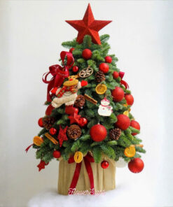 Cây Thông Noel Tươi Counting Stars