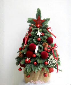 Cây Thông Noel Tươi Empire