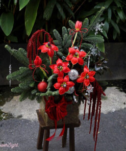 Cây Thông Noel Tươi King & Queens