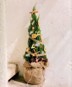 Cây Thông Noel Tươi Lucky