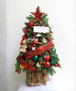 Cây Thông Noel Tươi Save My Love