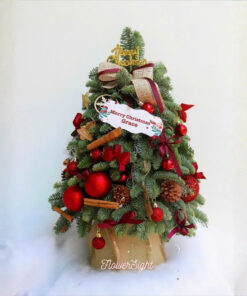 Cây Thông Noel Tươi Thunder