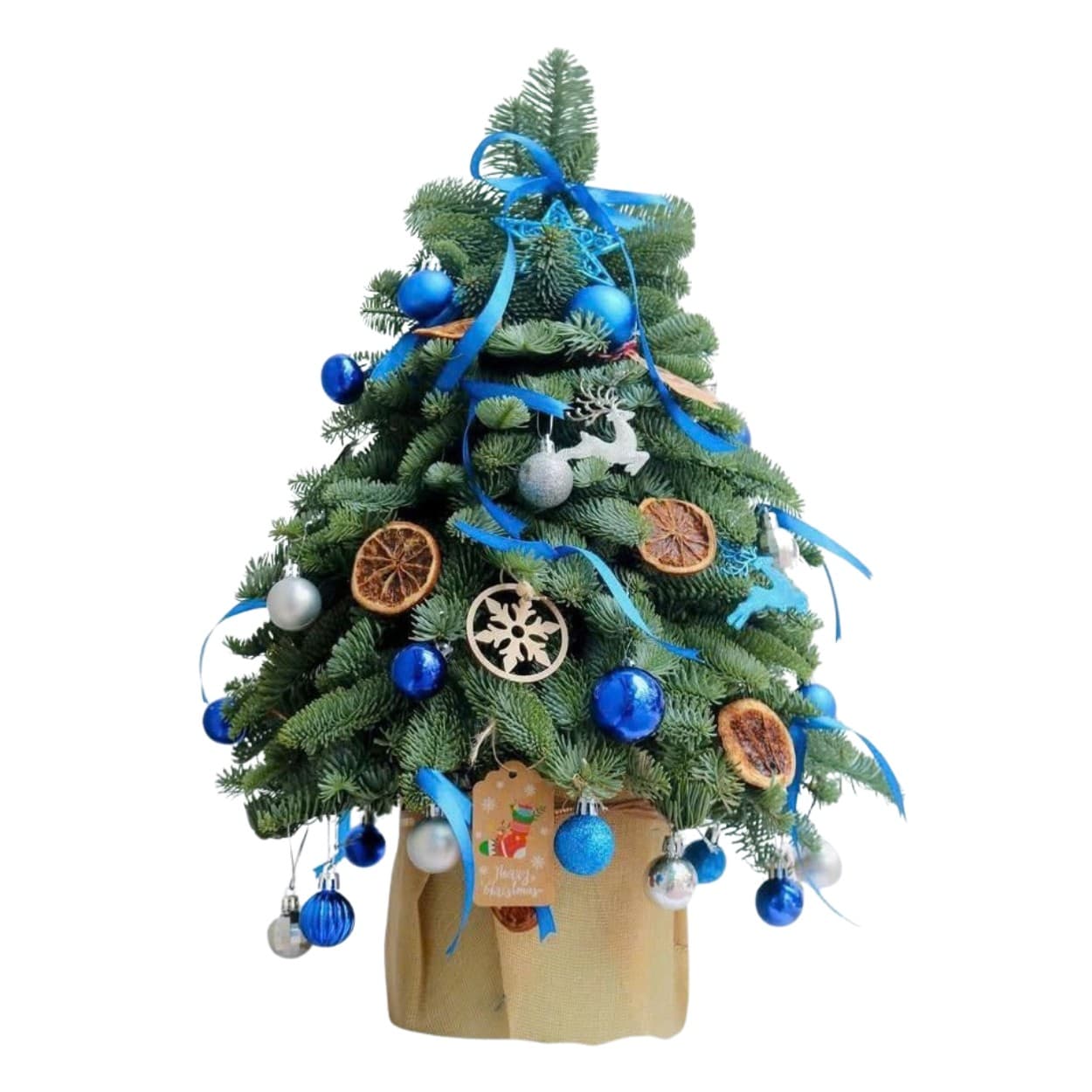 Cây Thông Noel Tươi