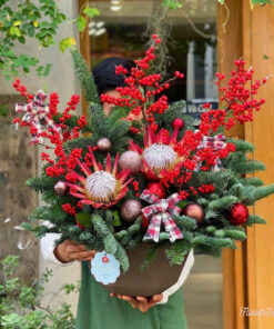 Cây Thông Noel Tươi Esther