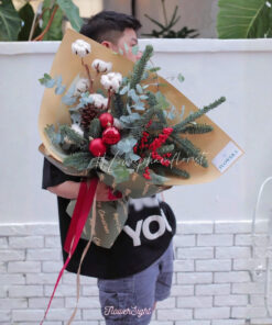 Cây thông tươi Lucy