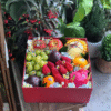 Giỏ hoa trái cây Way Back Home