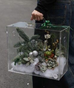 Hộp Noel Mica Hypnotized