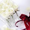Hộp hoa thuỷ tinh - Grace hoa hồng trắng/ Hộp hoa thuỷ tinh Grace