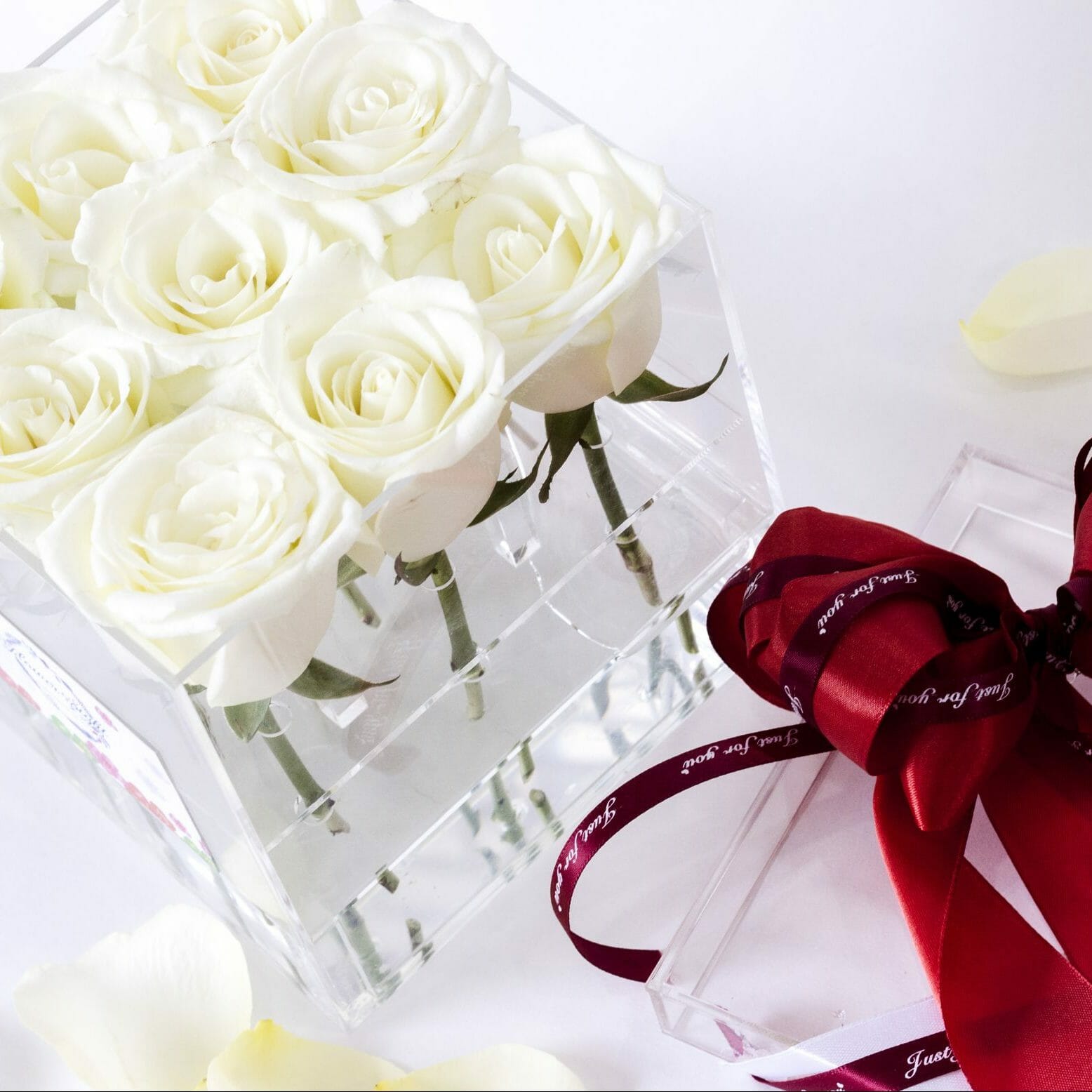 Hộp hoa thuỷ tinh - Grace hoa hồng trắng/ Hộp hoa thuỷ tinh Grace