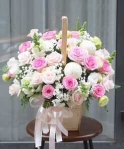 Dịu Ngọt Ấm Áp/ Niềm tin hy vọng