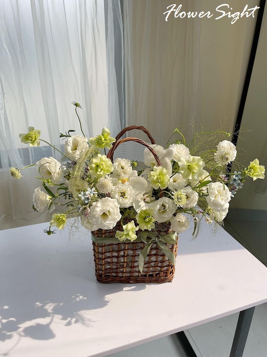 Hoa cát tường để bàn