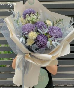 Hoa cúc mẫu đơn màu tím Happy day