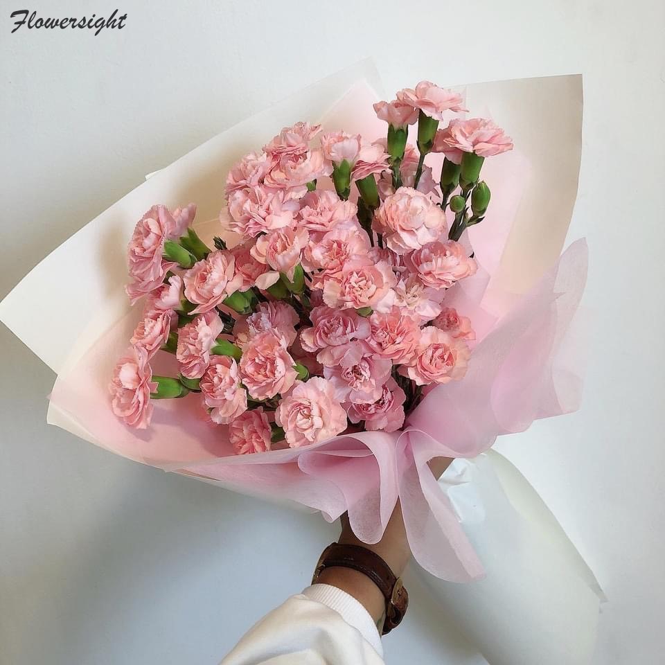 Bó hoa cẩm chướng hồng tặng cô giáo