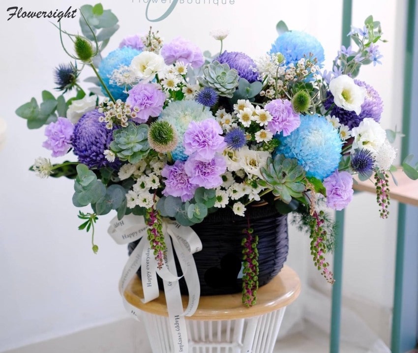 chậu hoa mừng năm mới