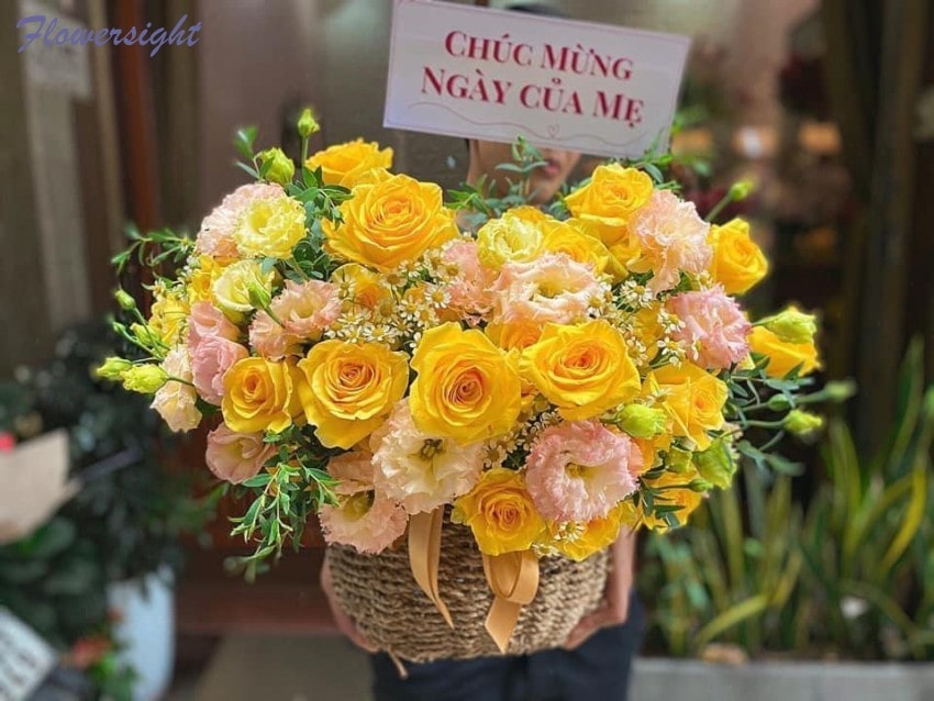 Hoa hồng vàng kết hợp với tường vi đẹp