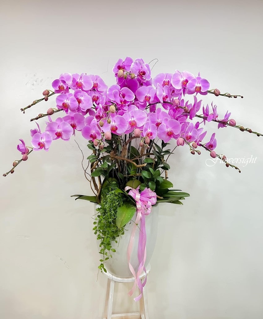 hoa sinh nhật con trai