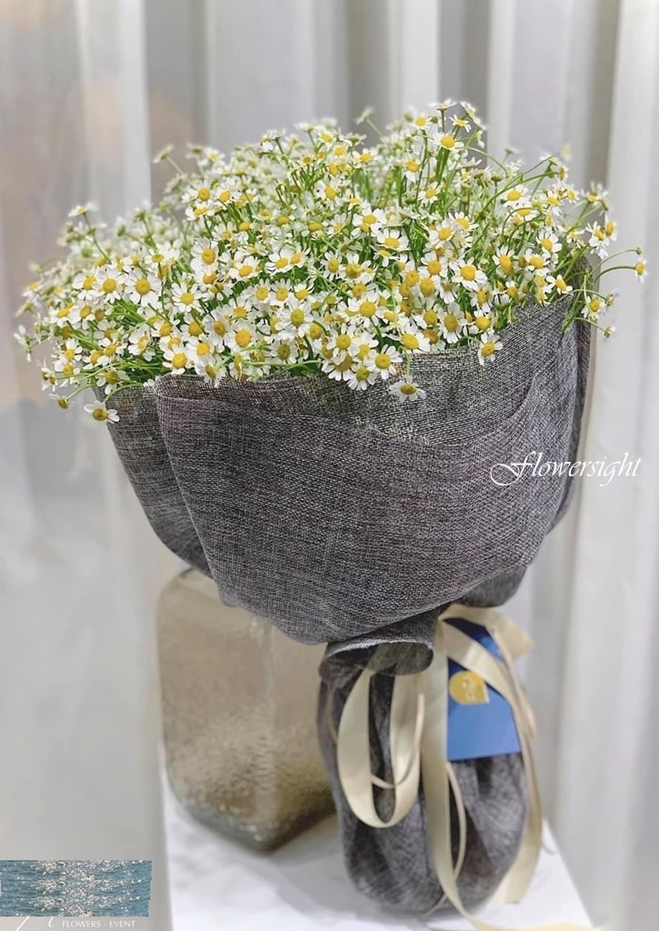 Bó hoa cúc tana đơn giản