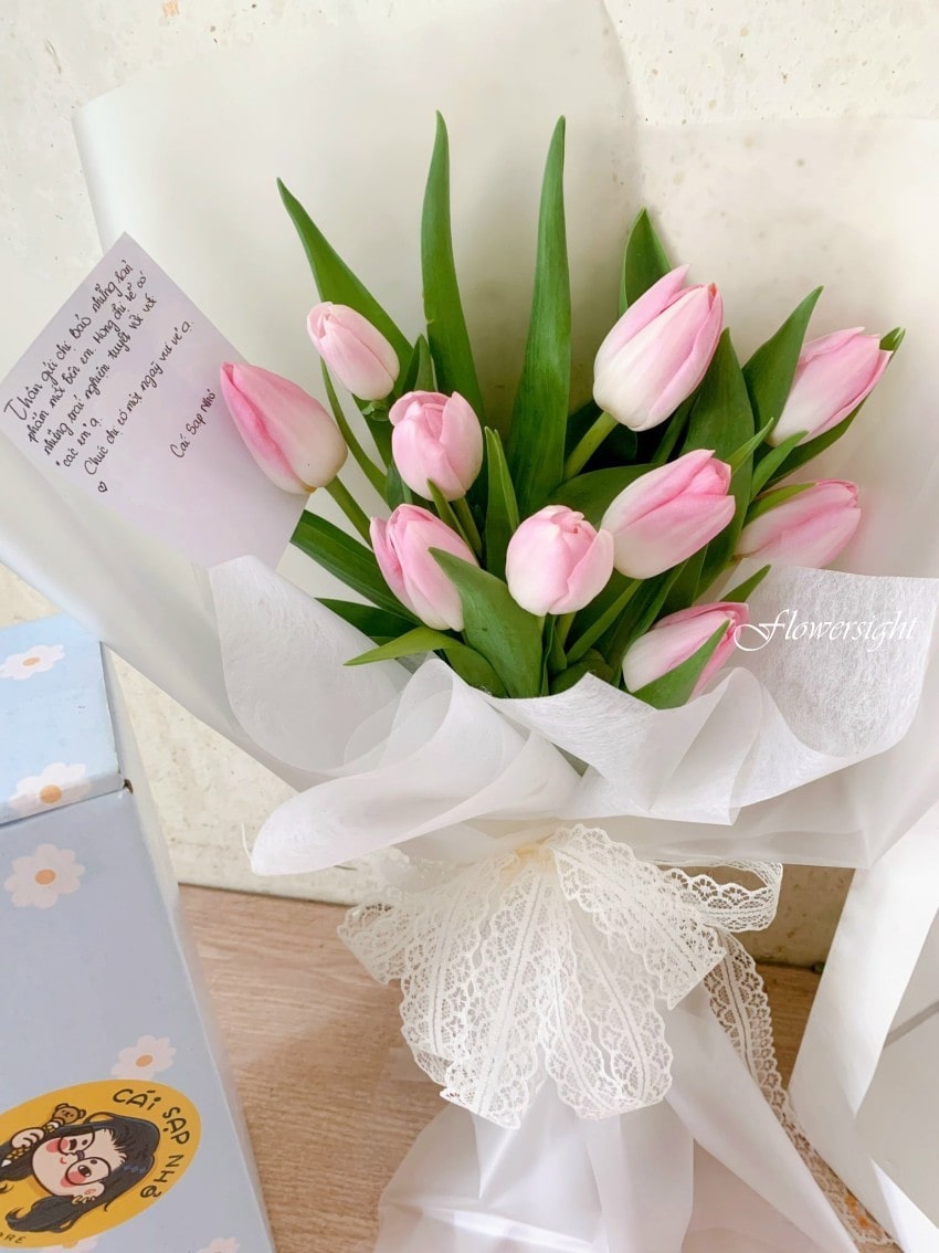 Hoa tulip hồng tặng sinh nhật