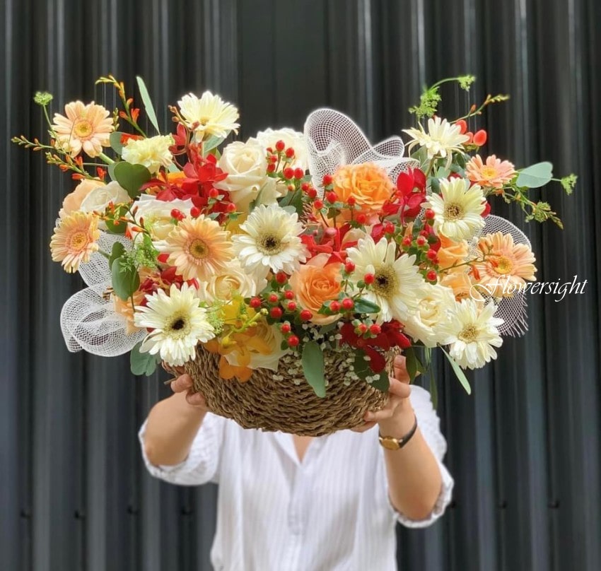 Giỏ hoa đồng tiền rực rỡ nhiều màu sắc