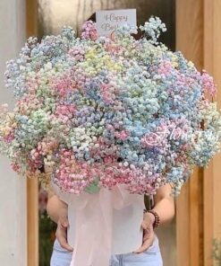 giỏ hoa baby nhiều màu Baby's Breath
