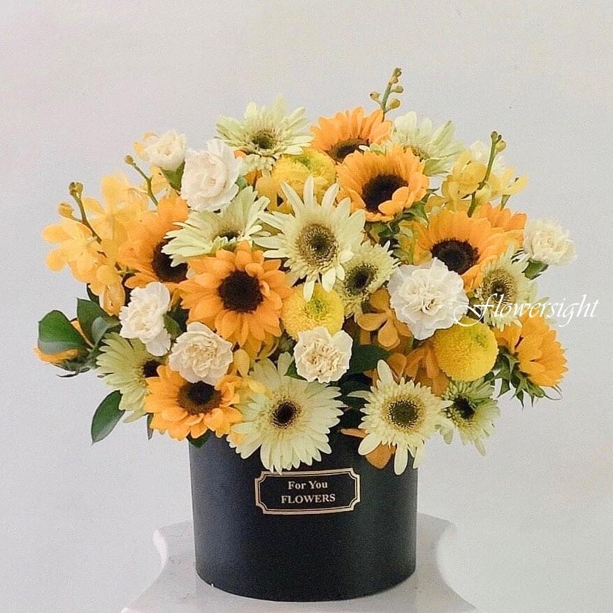 hộp hoa hướng dương