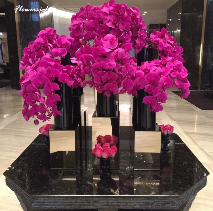 Bình hoa lan hồ điệp để sảnh khách sạn