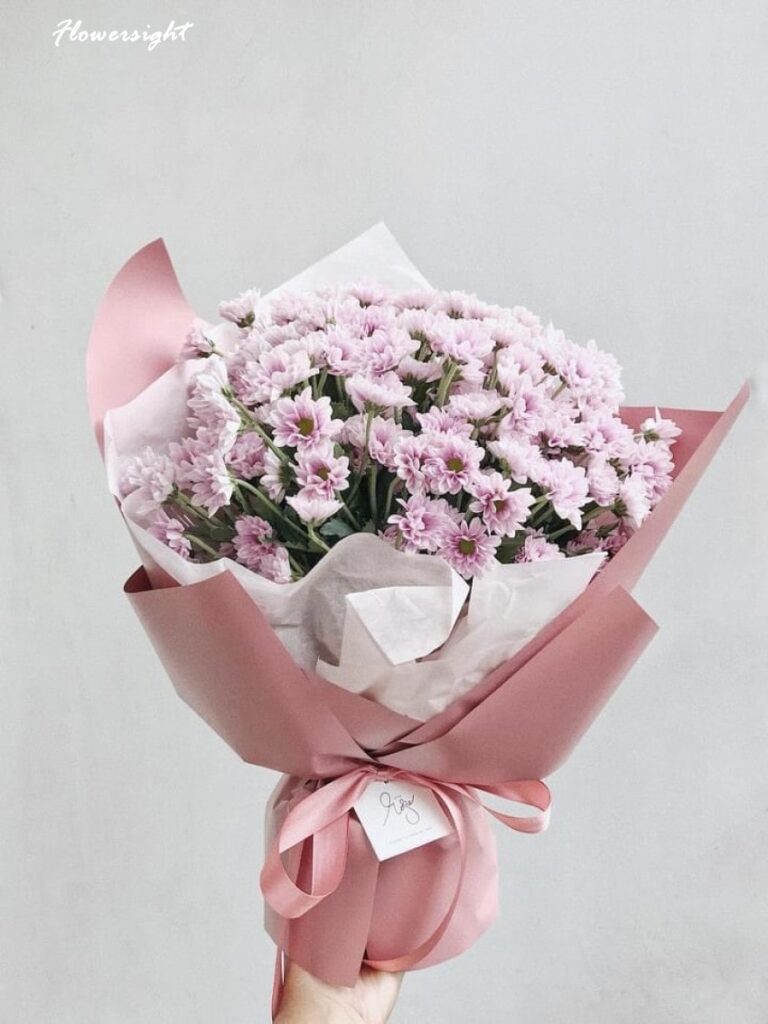 Bó cúc họa mi hồng thơ mộng