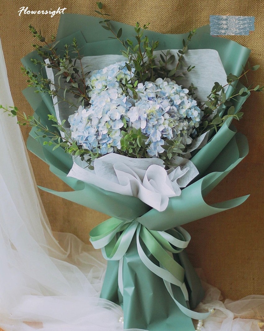 Bó hoa cẩm tú cầu thay cho lời xin lỗi