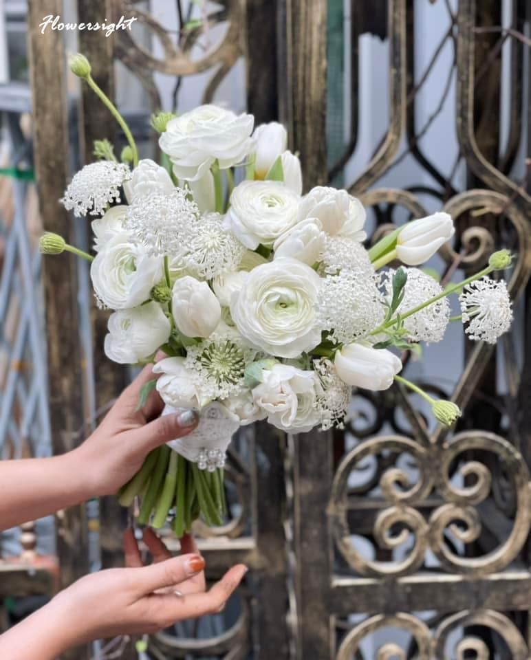 Hoa hồng trắng – sự thuần khiết và ngây thơ