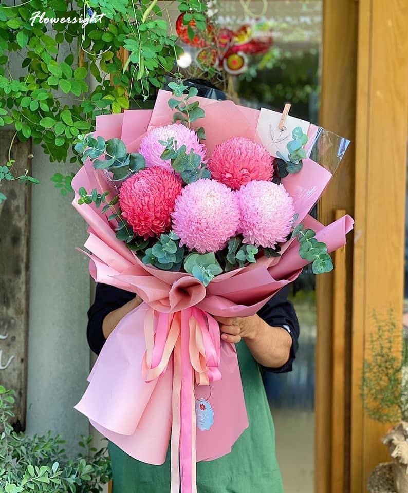 Cúc mẫu đơn hồng dịu dàng