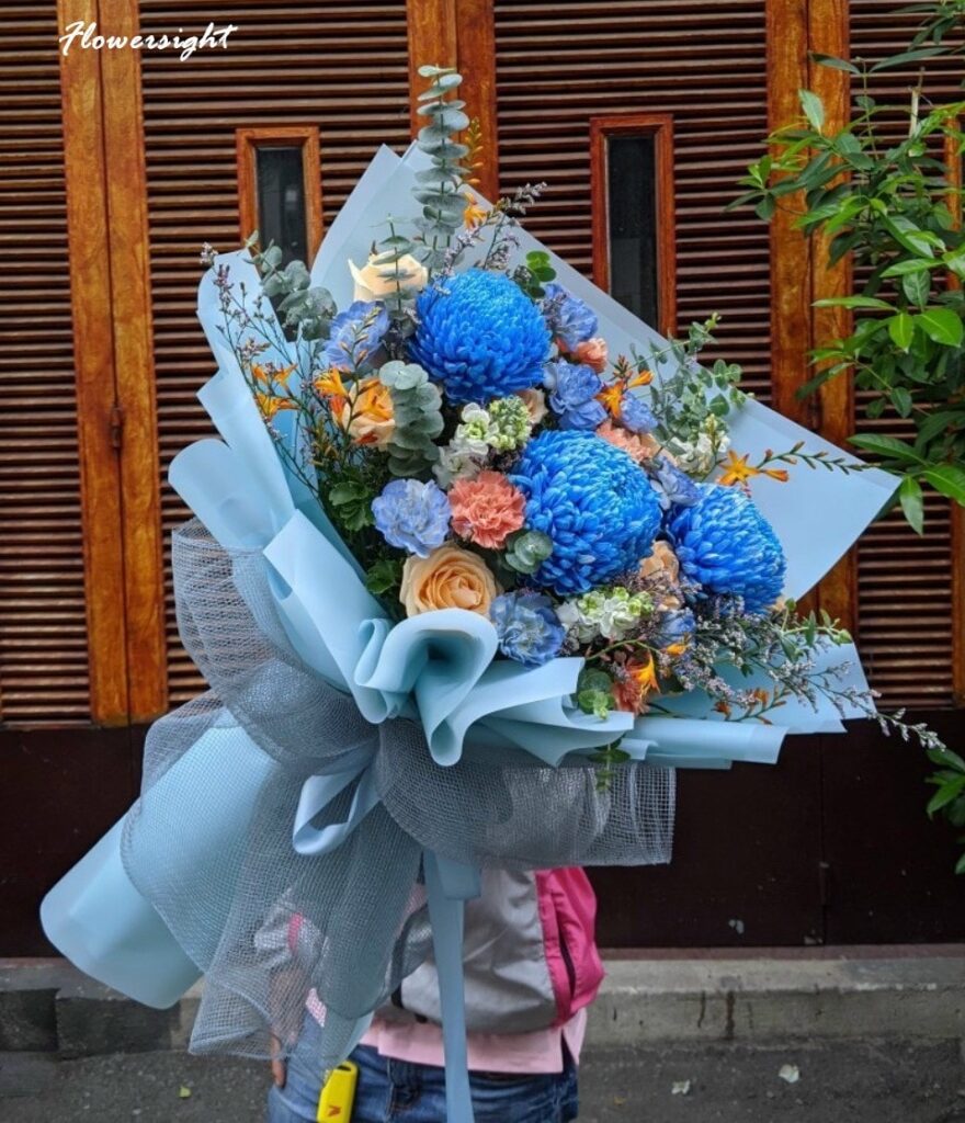 Cúc mẫu đơn xanh hy vọng