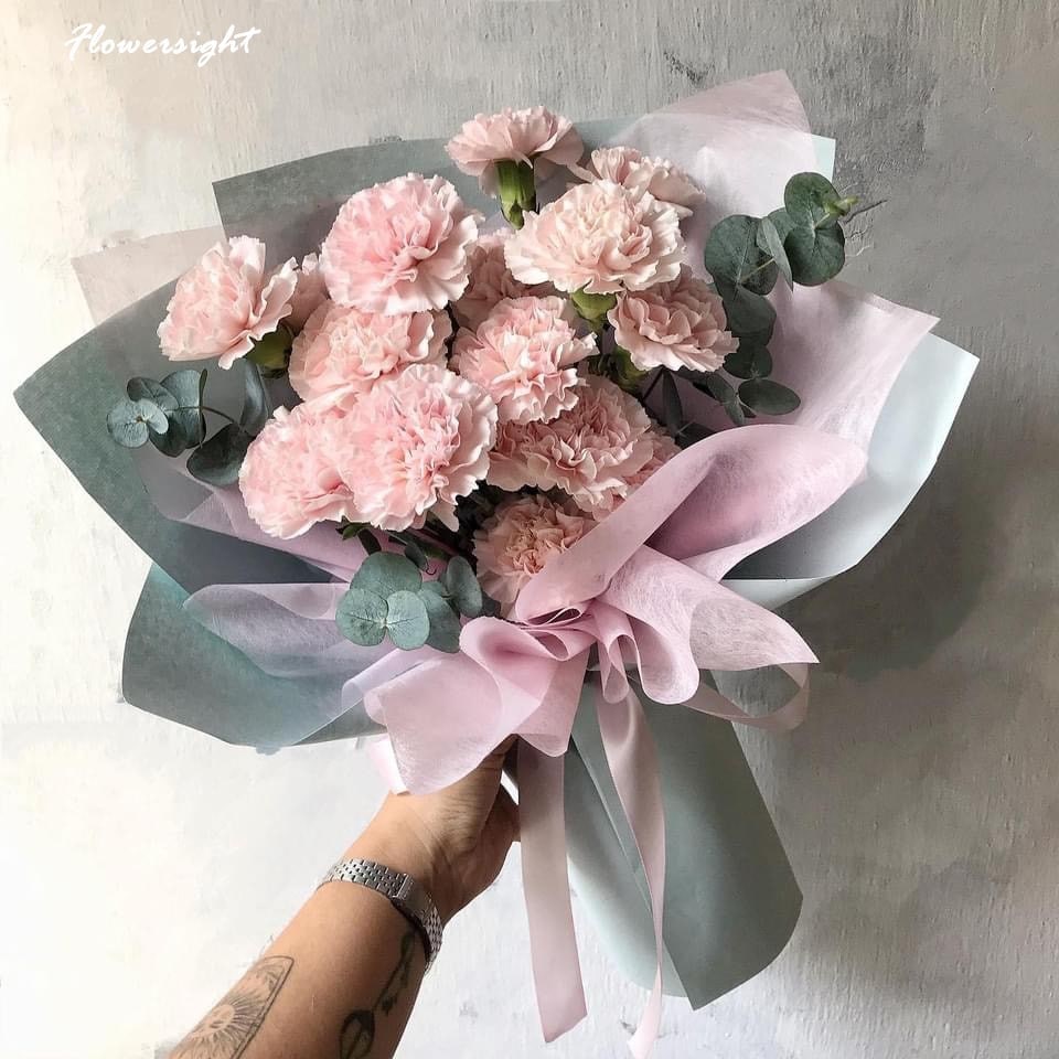 Bó hoa cẩm chướng thể hiện lời xin lỗi chân thành